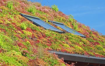 Swineshead Bridge living roof systems
